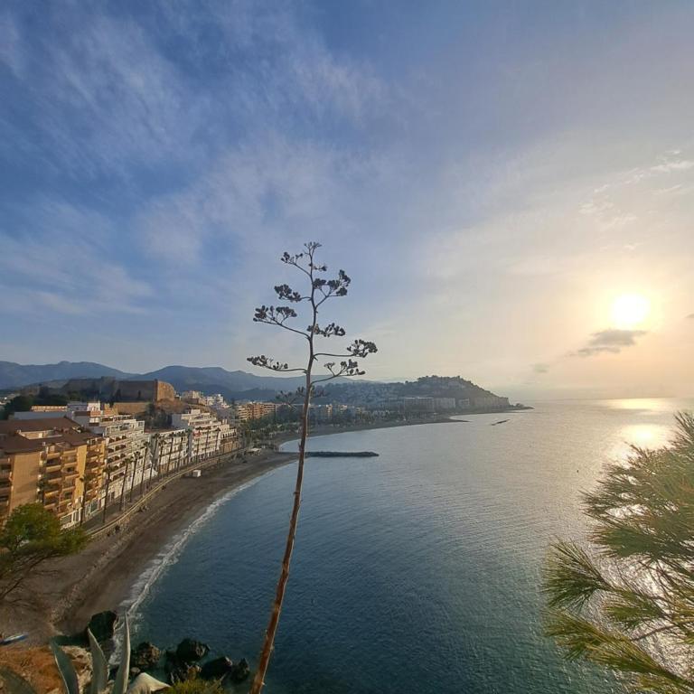 Velilla Seaview with Pool and Parking - Apartamento de 2 dormitorios con terraza y vistas al mar - 24