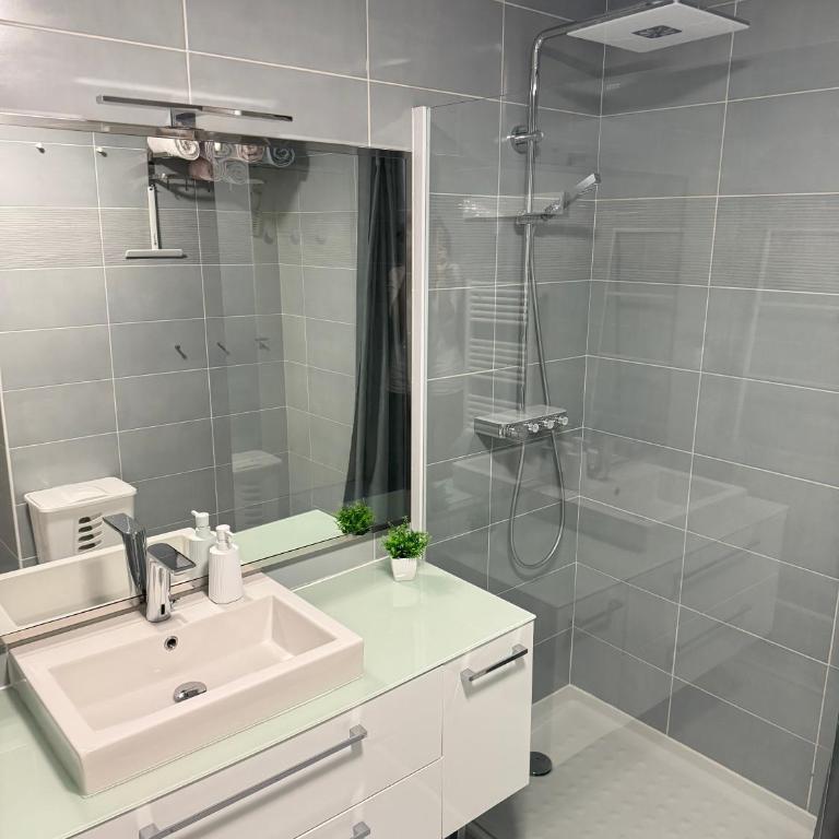 Victor Hugo Spa - One-Bedroom Apartment - 23