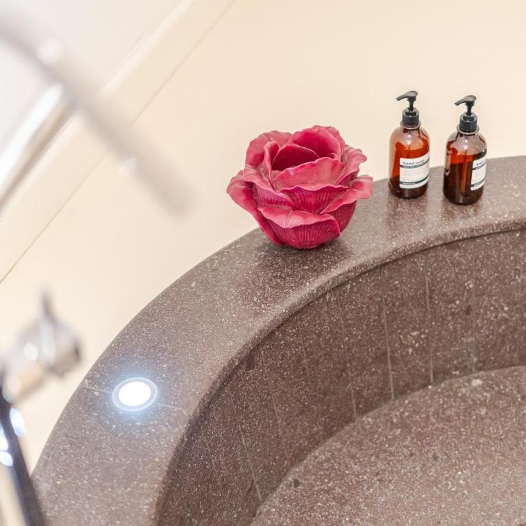 BreraPrivata, appartamento con giardino e jacuzzi ad uso esclusivo - Milano - Appartamento con 2 Camere da Letto - 56