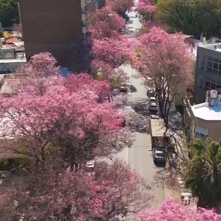 Apart Alameda - One-Bedroom Apartment with City View - 28