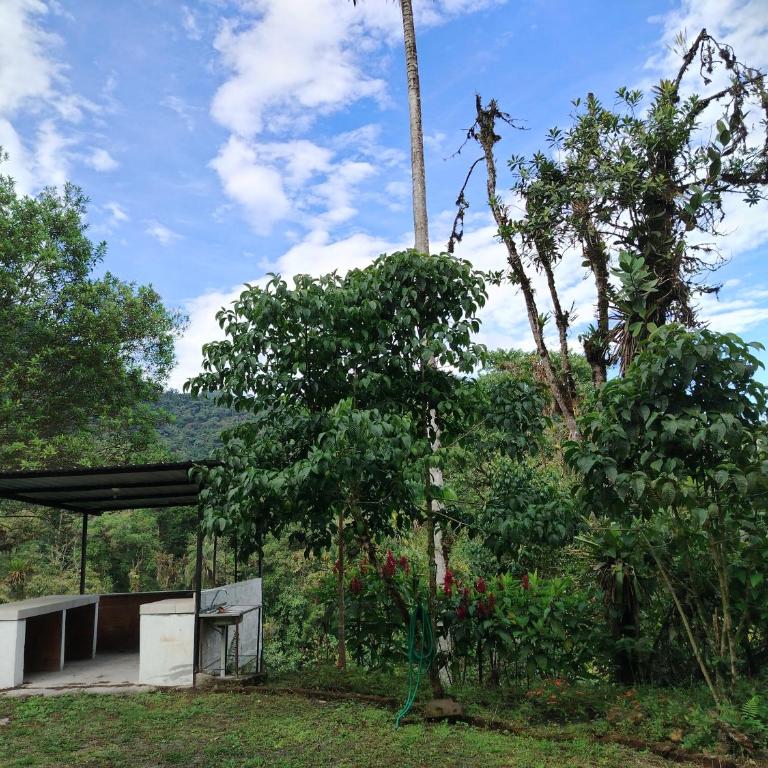 Golden Bird II - Chalet de 1 dormitorio - 3