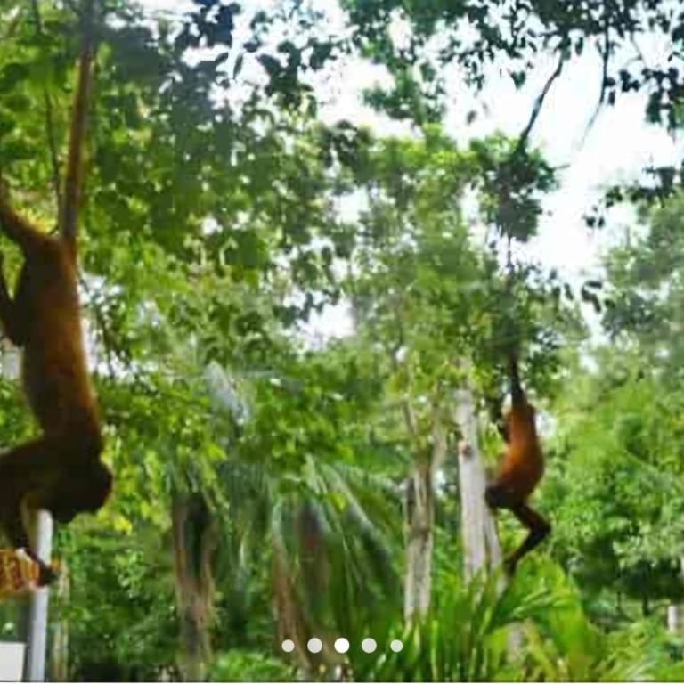 Arriendo habitaciones amobladas con aire acondicionado - Double Room with Private Bathroom - 2