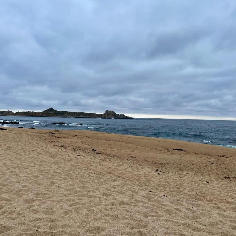 Departamento en Isla de Neruda - Apartment - 36