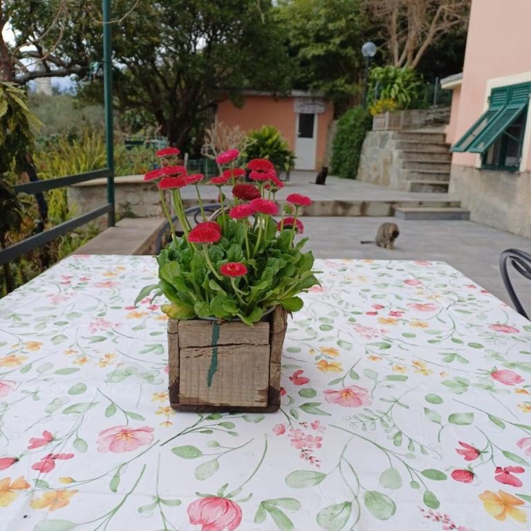 Ca Du Stea - Appartamento - 27