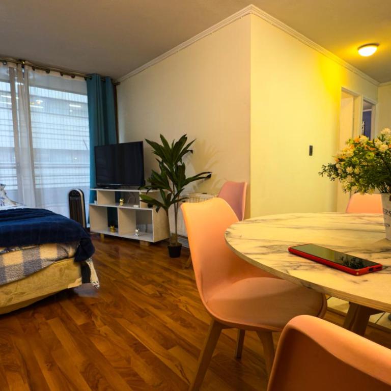 Depto metro Santa Ana 8 (2 dormitorios) - Apartamento de 2 dormitorios - 42