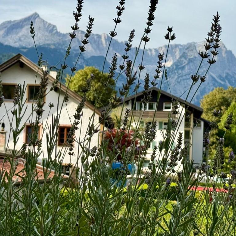 Studio Bergblick 5 - Appartement 1 Chambre - 25