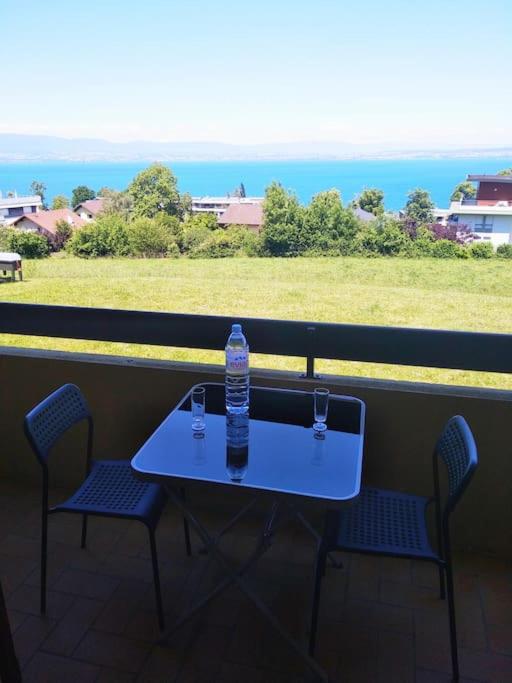 Le Panoramic Evian - One-Bedroom Apartment - 6
