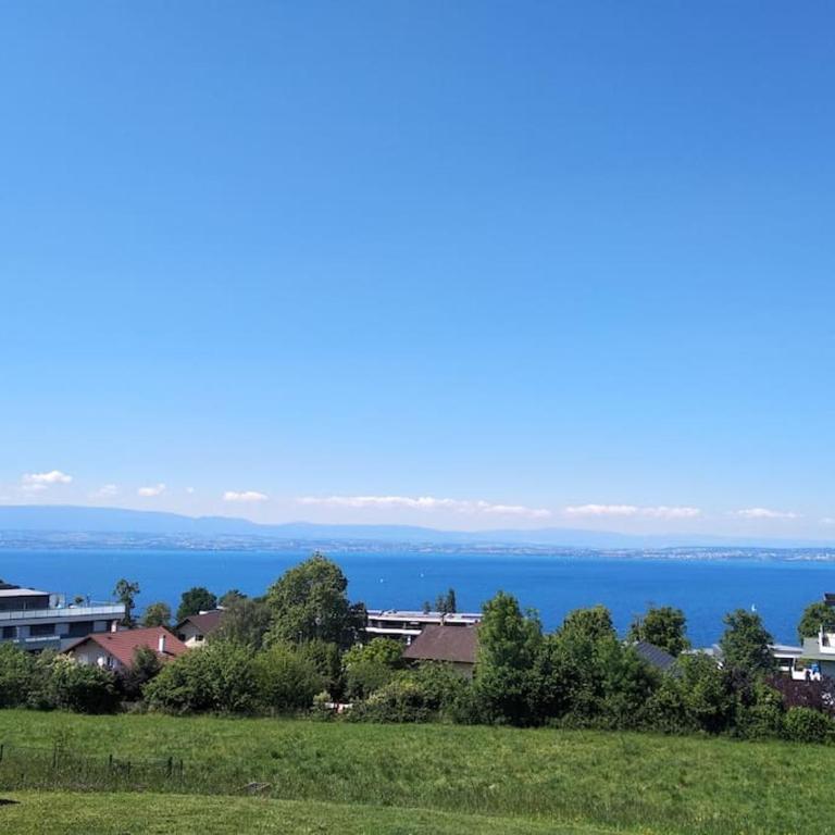 Le Panoramic Evian - One-Bedroom Apartment - 11