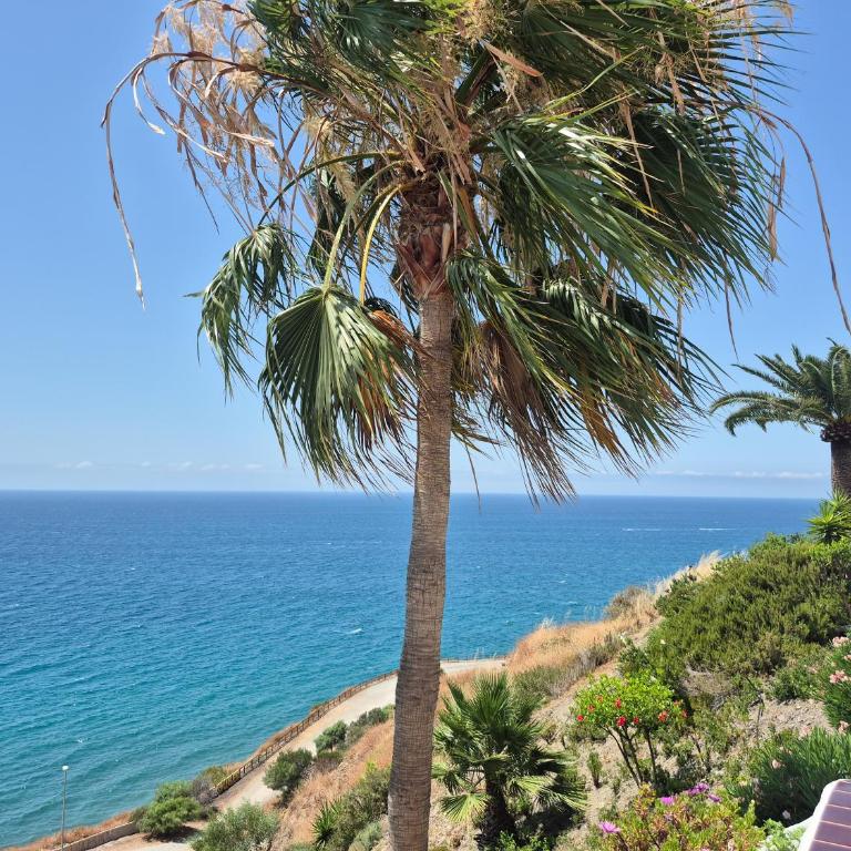 Fantastic Sea Views Sun Lounge - Apartamento de 2 dormitorios - 4