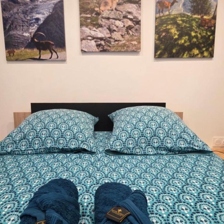 Studio 30m2 avec chambre - Appartement 1 Chambre - 25