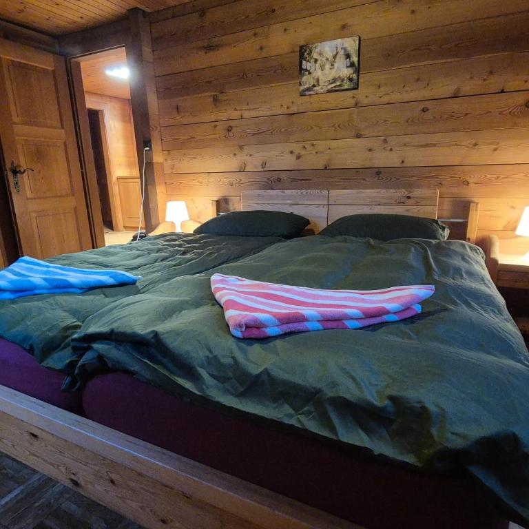 Gemütliches Walliser Chalet Nahe Aletschgebiet - Apartment - 1