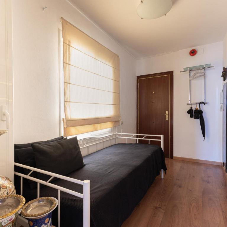 Rambla Cat · Penthouse with terrace - Apartment - 15