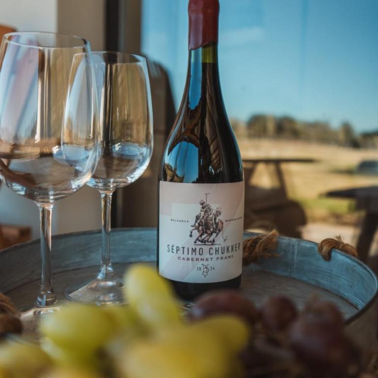 Bodegas y Viñedos Balcarce - Estudio Deluxe con cama grande - 3