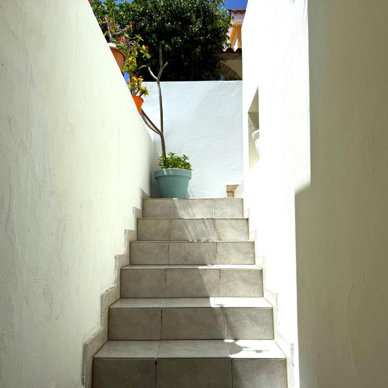 BellaVista DM private pool - One-Bedroom Apartment - 25