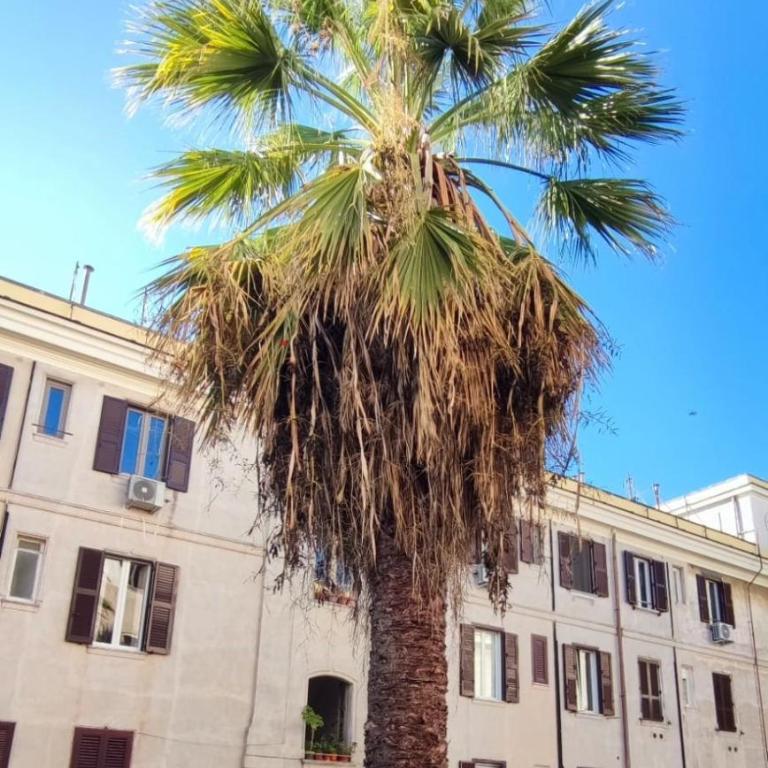 Apartment Sora Marcella, Testaccio - Appartamento Standard con 2 Camere da Letto - 12