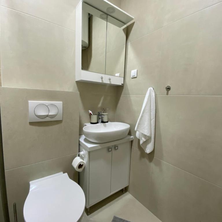 Apartman Zeleno Srce - One-Bedroom Apartment - 5