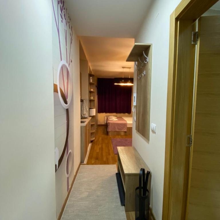 Apartman Zeleno Srce - One-Bedroom Apartment - 3