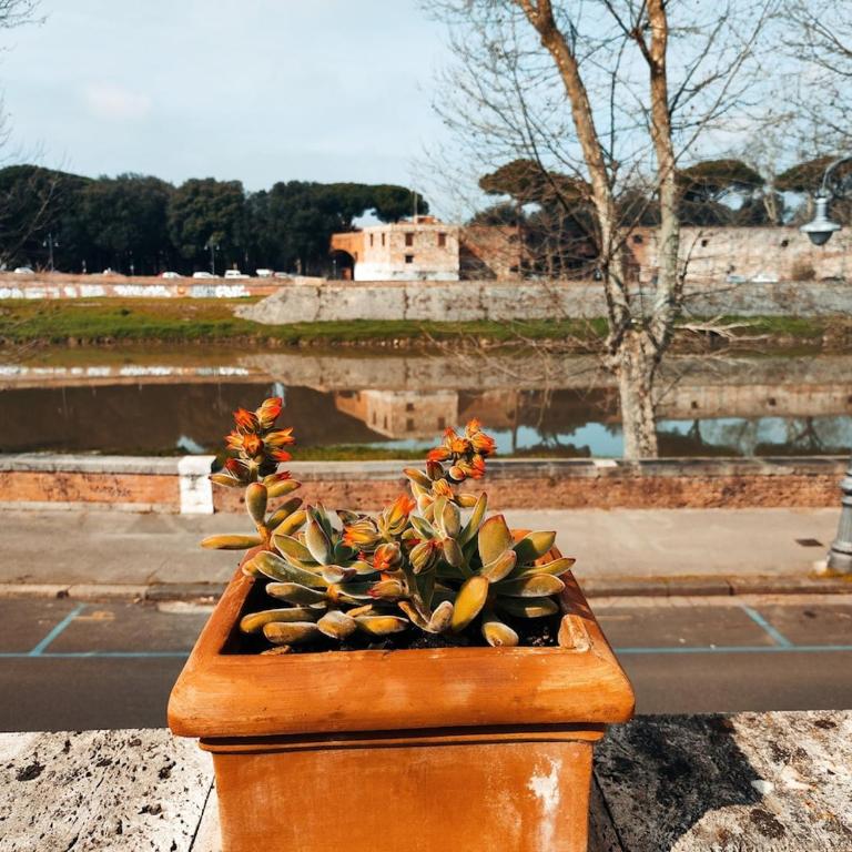 MARZIA'S TERRACE - historic river apartment - Appartamento con 2 Camere da Letto - 8