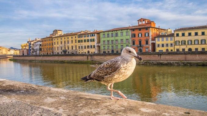 MARZIA'S TERRACE - historic river apartment - Appartamento con 2 Camere da Letto - 19