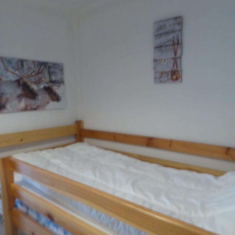 studio cabine résidence les Airelles 2 adultes 2 enfants parking casier à skis balcon vue lac --location toutes saisons-- - Studio mit Bergblick - 8