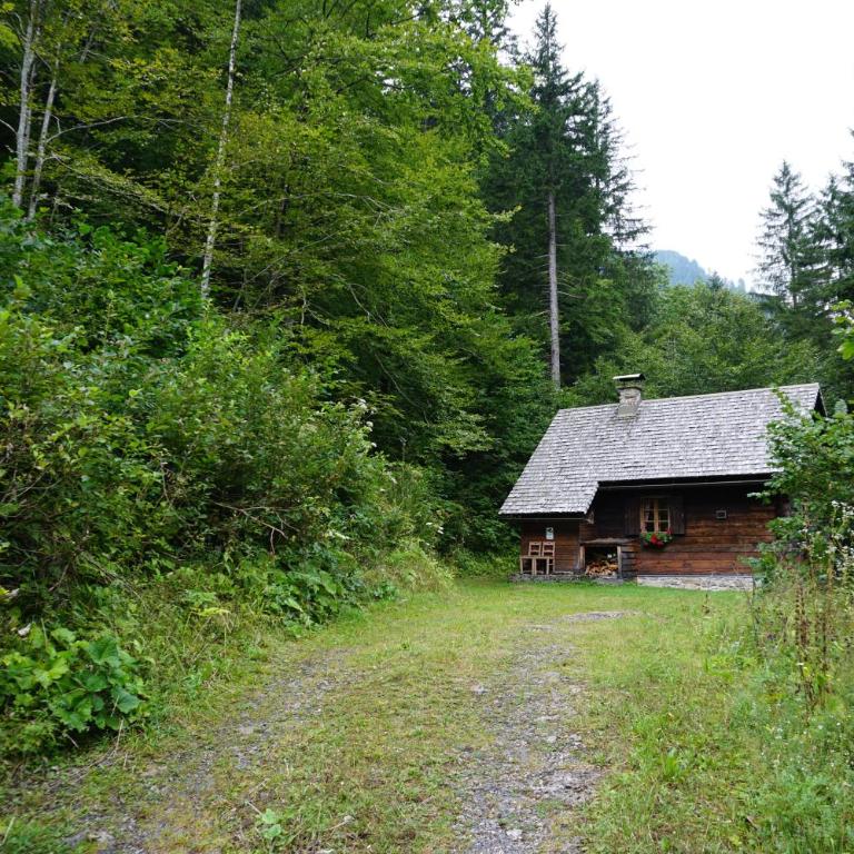 Almhütte Groß Frondell - Haus mit 1 Schlafzimmer - 4