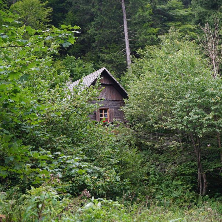 Almhütte Groß Frondell - Haus mit 1 Schlafzimmer - 2