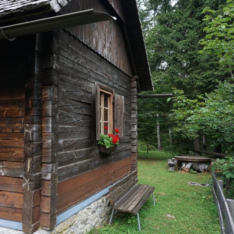 Almhütte Groß Frondell - Haus mit 1 Schlafzimmer - 3