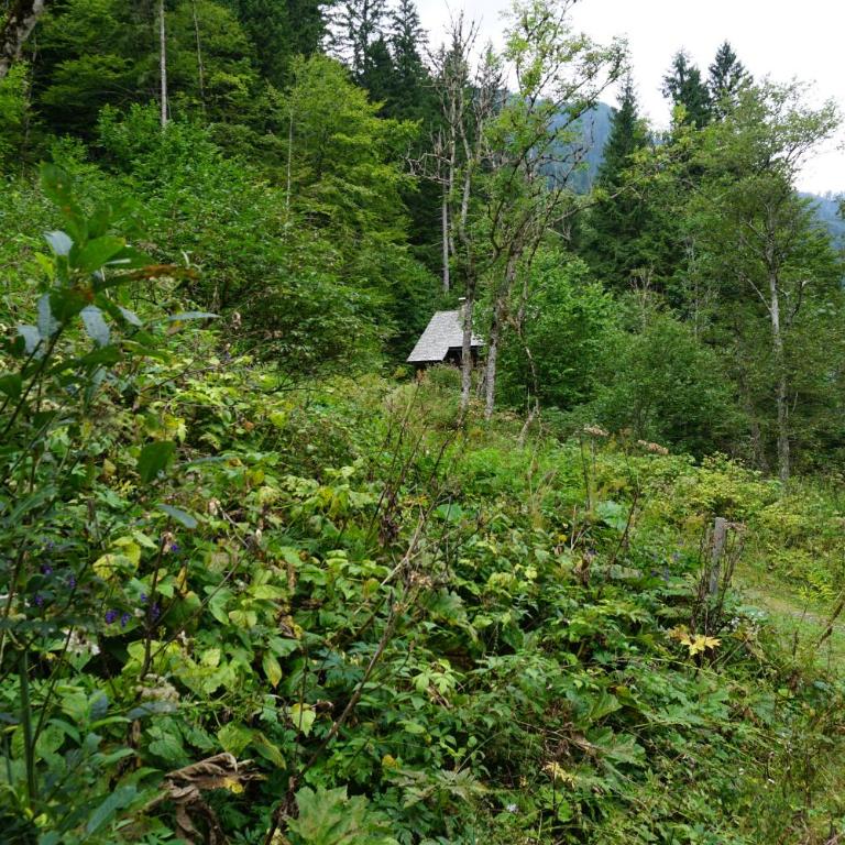 Almhütte Groß Frondell - Haus mit 1 Schlafzimmer - 8