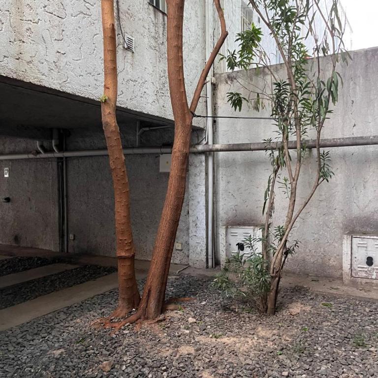 Carlos Paz Tupungato - Two-Bedroom Apartment - 19