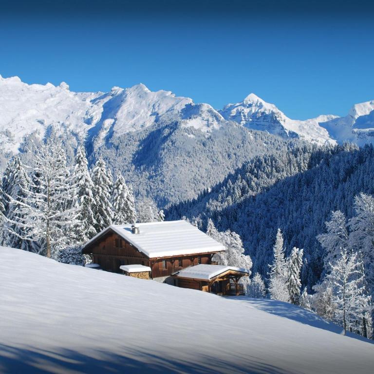 Chalet Les Pellys - OVO Network - Chalet - 6