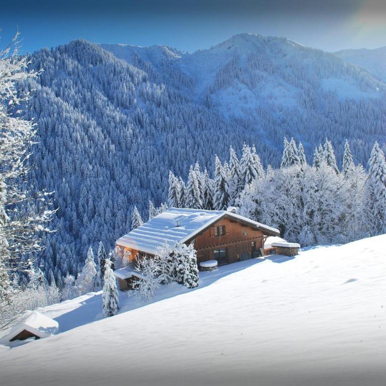 Chalet Les Pellys - OVO Network - Chalet - 33
