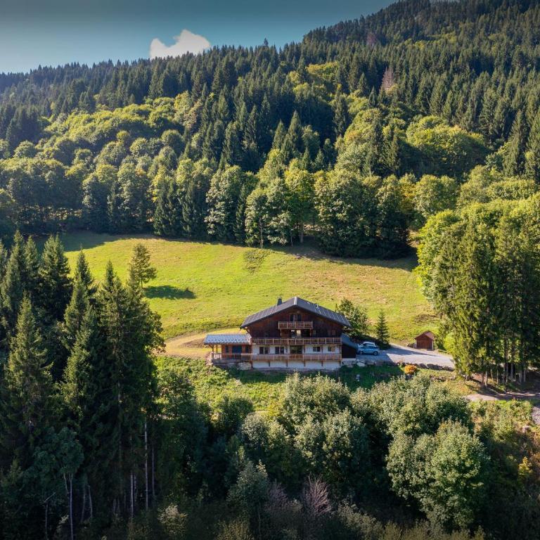 Chalet Les Pellys - OVO Network - Chalet - 1