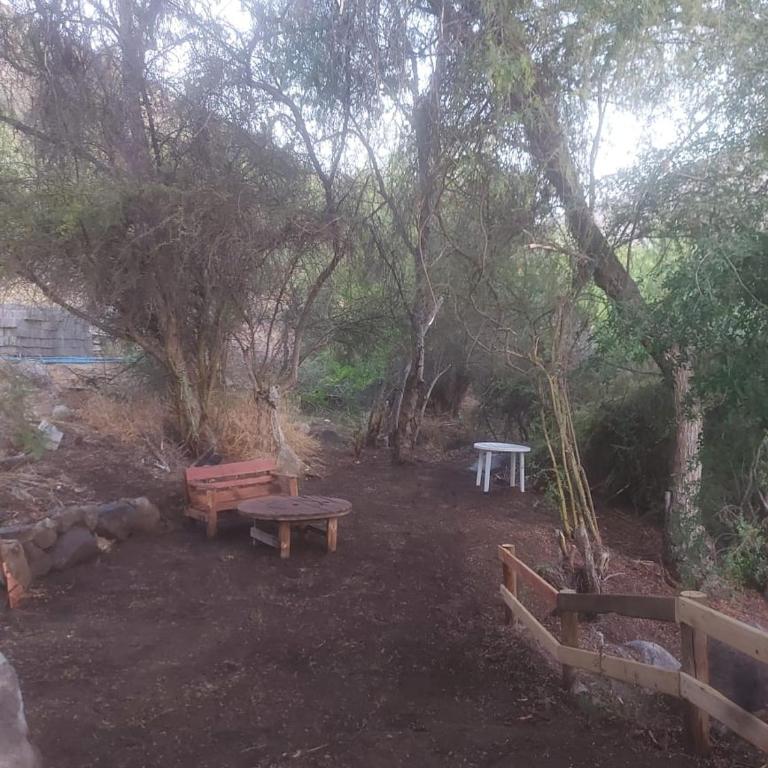 Diaguitas Valle de Elqui - Four-Bedroom House - 11