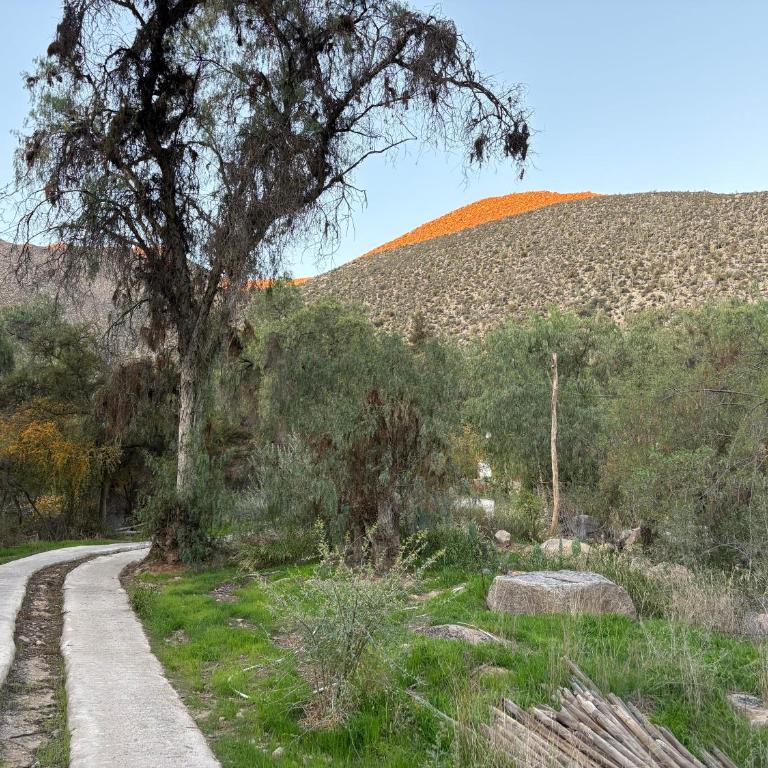Diaguitas Valle de Elqui - Four-Bedroom House - 14