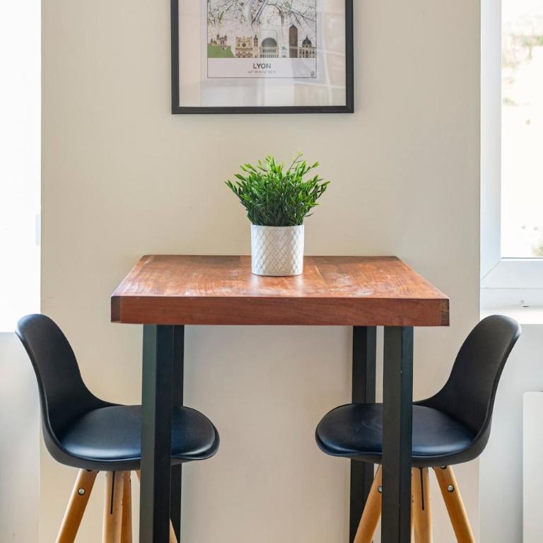 Pentes de la Croix-Rousse Le Lyon d'or - Appartement 1 Chambre - 20