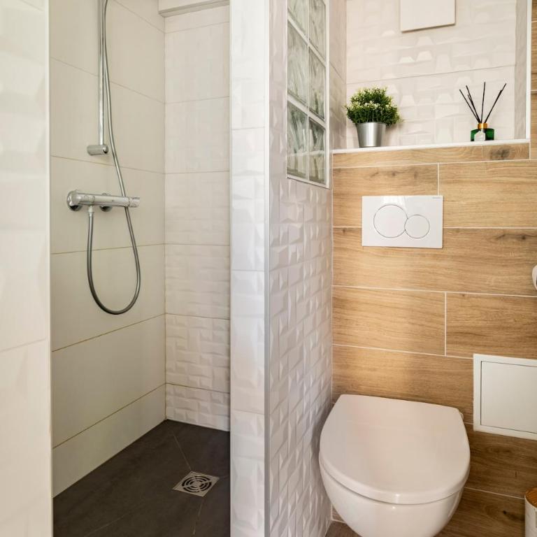 Pentes de la Croix-Rousse Le Lyon d'or - Appartement 1 Chambre - 4
