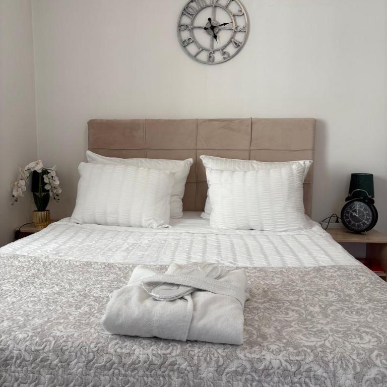 Wing Apartman Jagodina - Apartman sa 1 Spavaćom Sobom - 7