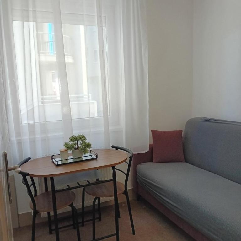 Wing Apartman Jagodina - Apartman sa 1 Spavaćom Sobom - 12