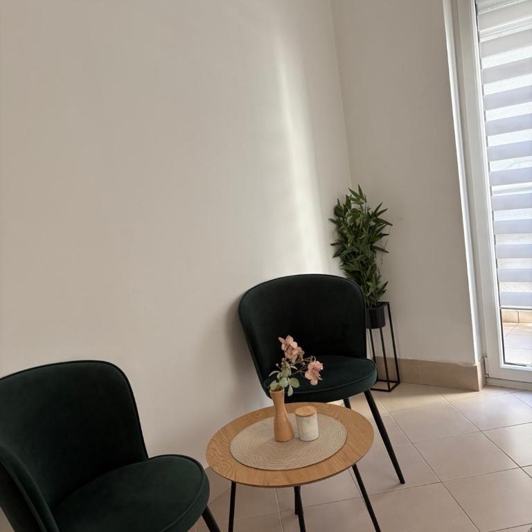 Wing Apartman Jagodina - Apartman sa 1 Spavaćom Sobom - 6