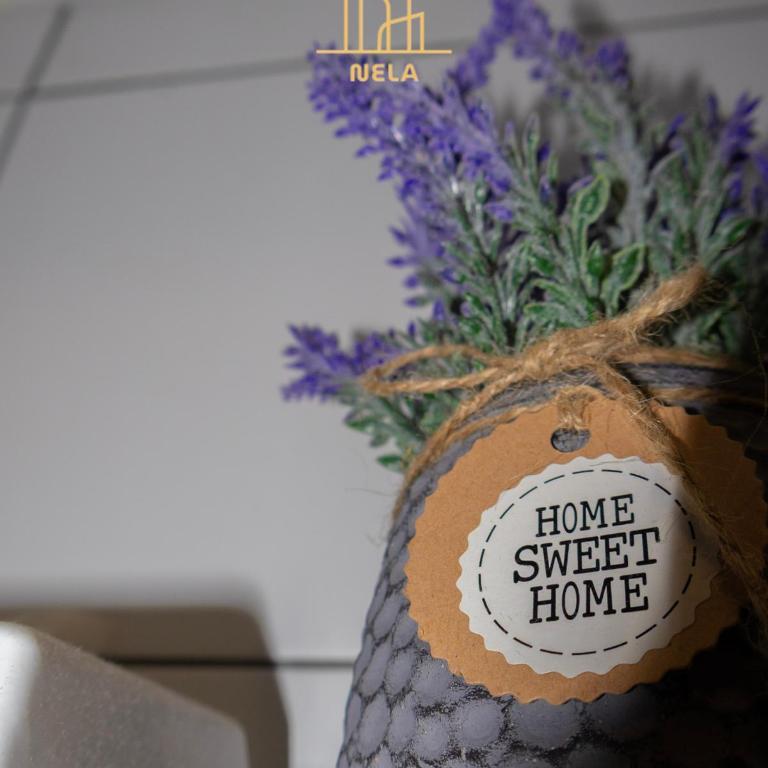 Apartman Nela 2 Jahorina - Apartman sa 1 Spavaćom Sobom - 27