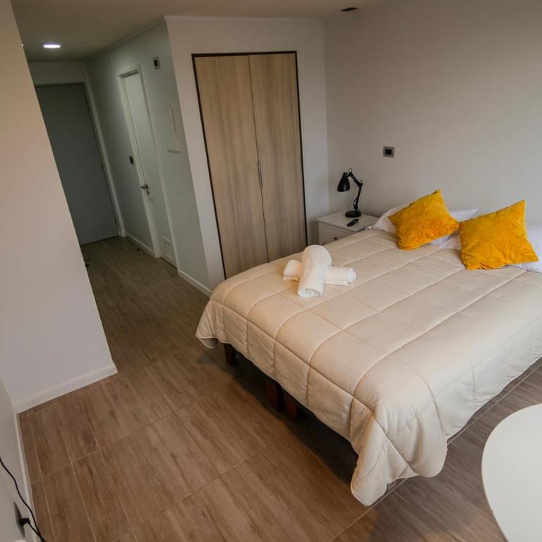 Apartamento en Valdivia, 1 Habitación, Tv, Wifi, Lavandería - Apartamento de 1 dormitorio - 14