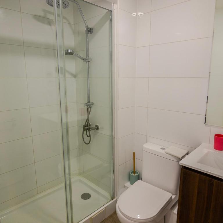 Apartamento en Valdivia, 1 Habitación, Tv, Wifi, Lavandería - Apartamento de 1 dormitorio - 12