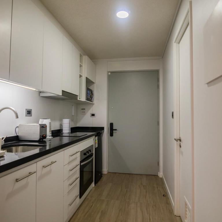 Apartamento en Valdivia, 1 Habitación, Tv, Wifi, Lavandería - Apartamento de 1 dormitorio - 10