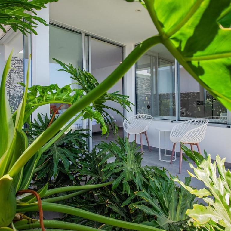 Rocavista - Villa with heated rooftop pool and amazing ocean view - Villa con vistas al mar - 17