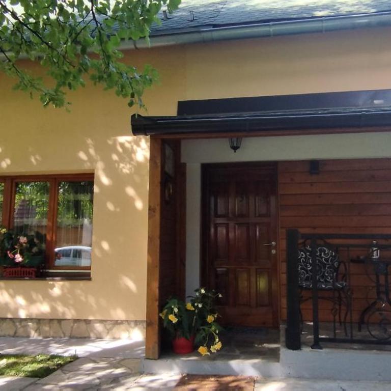 Apartments Šćepanović - Studio Apartman - 10