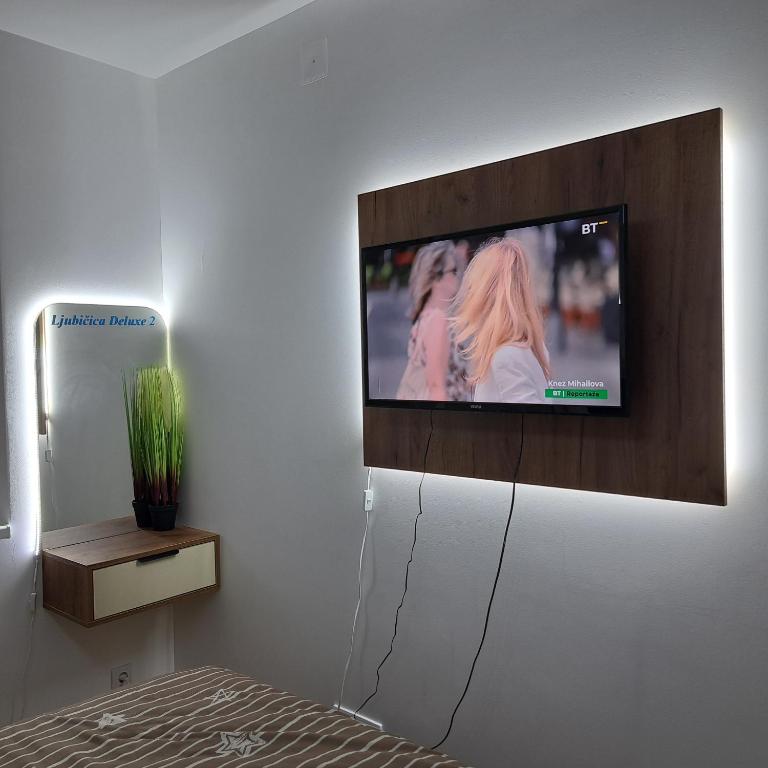 Ljubičica deluxe 2, sa dvorištem i parkingom - One-Bedroom Apartment - 37