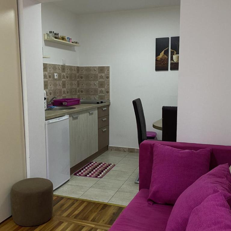 Zlatiborski Andjeo, apartmani Gaga - One-Bedroom Apartment - 3