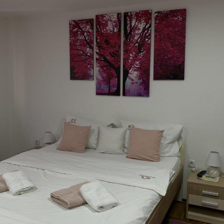 Zlatiborski Andjeo, apartmani Gaga - One-Bedroom Apartment - 5