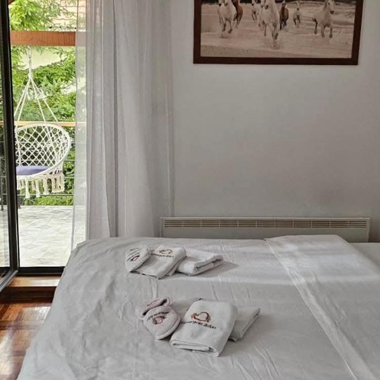 Zlatiborski Andjeo, apartmani Gaga - Apartment - 8