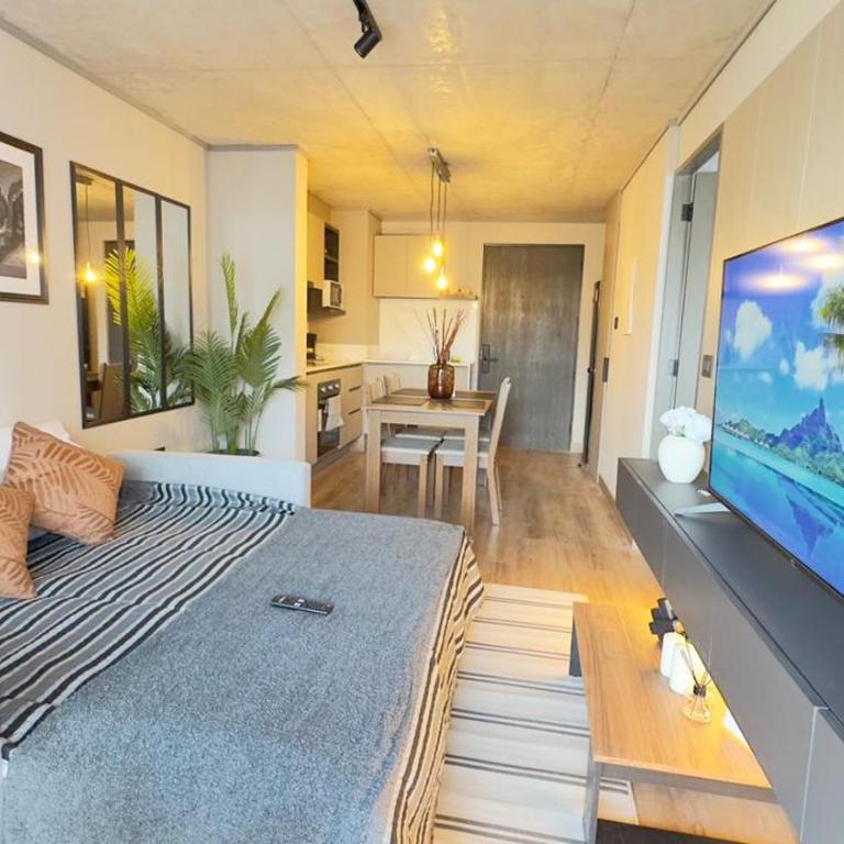 HOM I 1D1B Metro Santa Isabel Sector Providencia - Apartment - 39